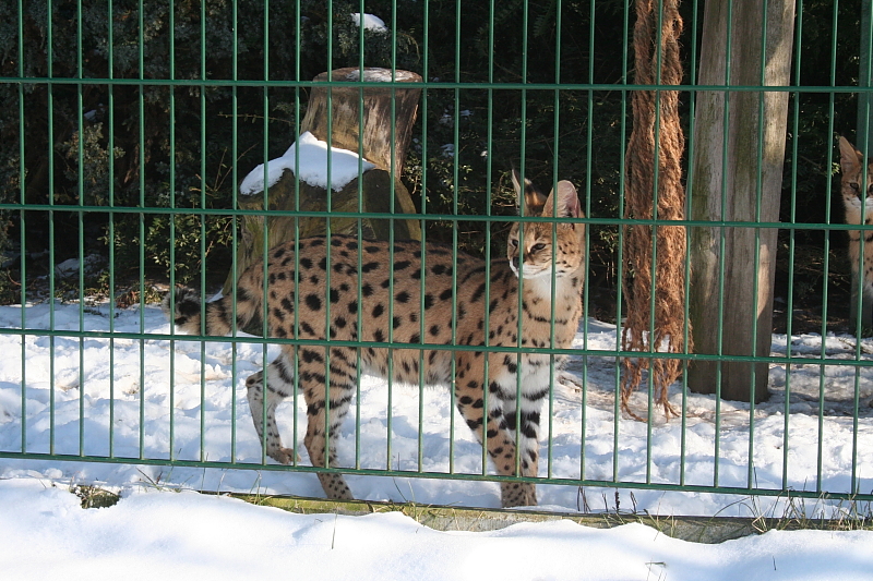 Killikus&reg; Fotographie